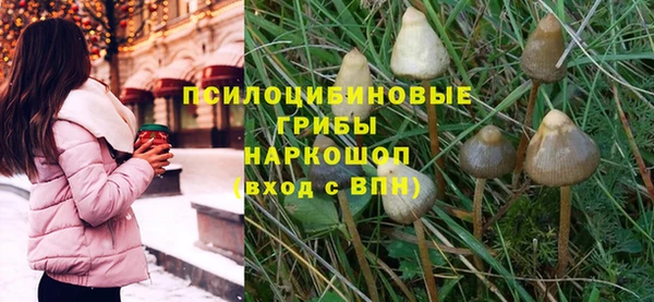 гашик Алексин