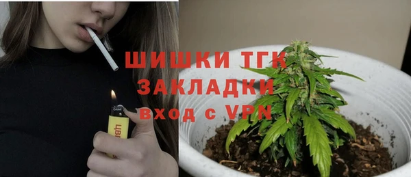 гидропоника Абаза