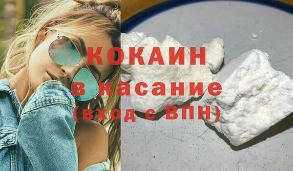 гашик Алексин