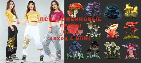 гашик Алексин