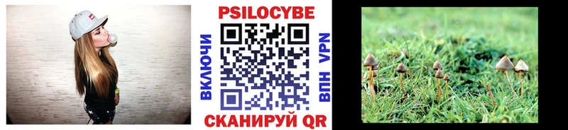 Галлюциногенные грибы Magic Shrooms купить наркоту Прокопьевск