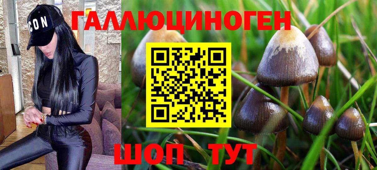 Псилоцибиновые грибы Magic Shrooms  Вход с VPN  Прокопьевск 